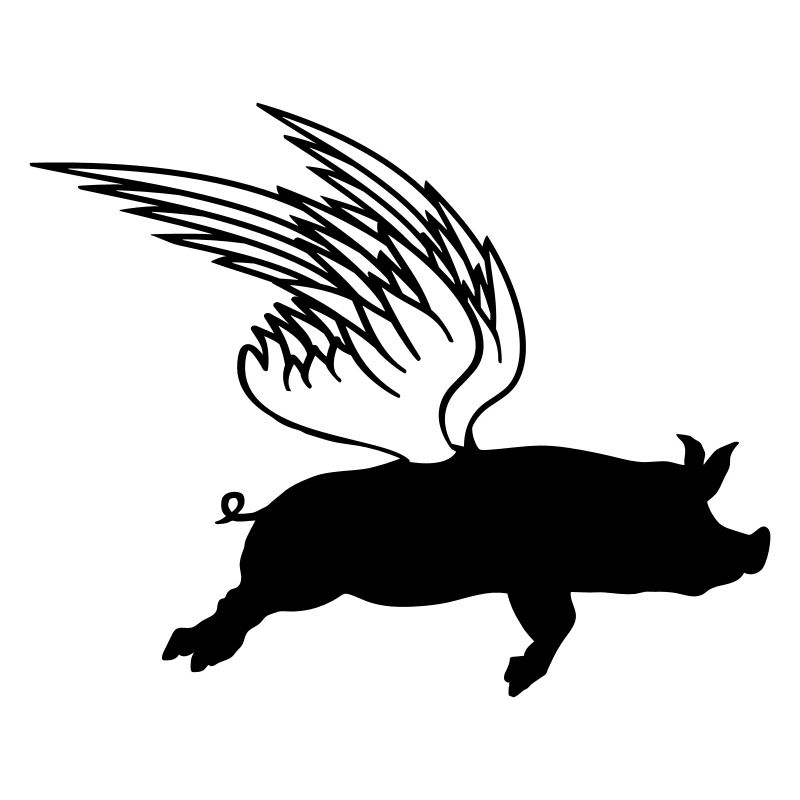 When Flying Wings Flying Pigs Can Fly