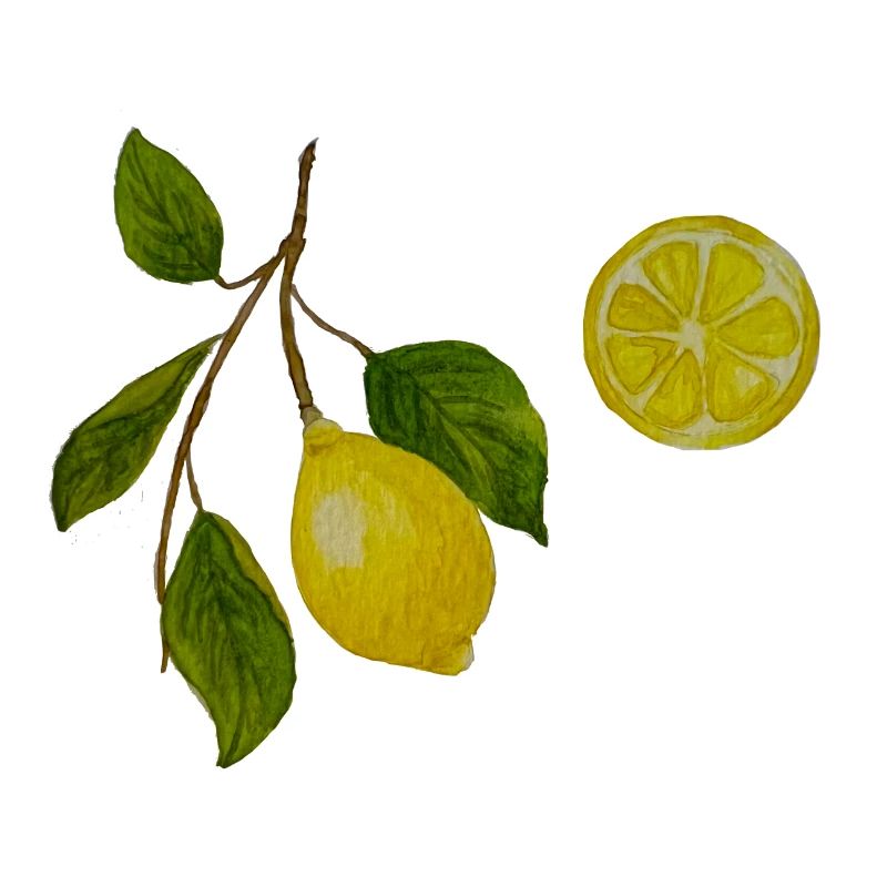 Lemon and lemon sprig