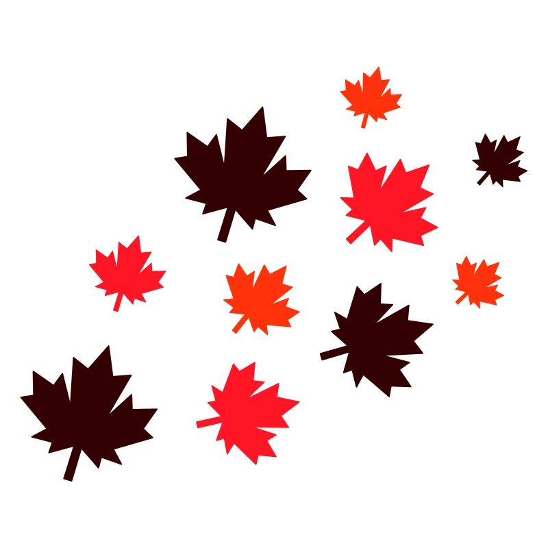 Feuilles d’érable