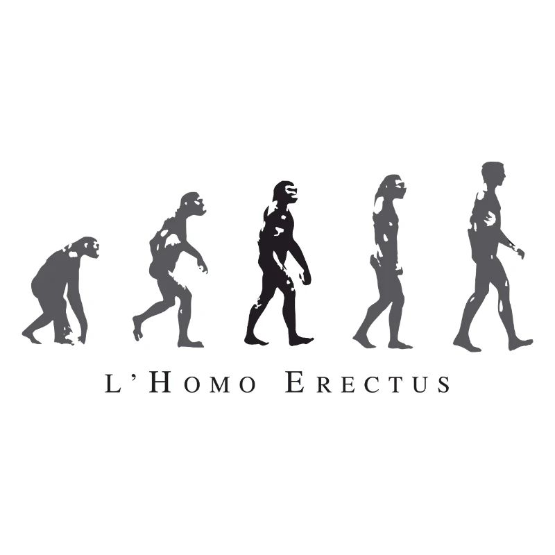 Evolution of the Human Position