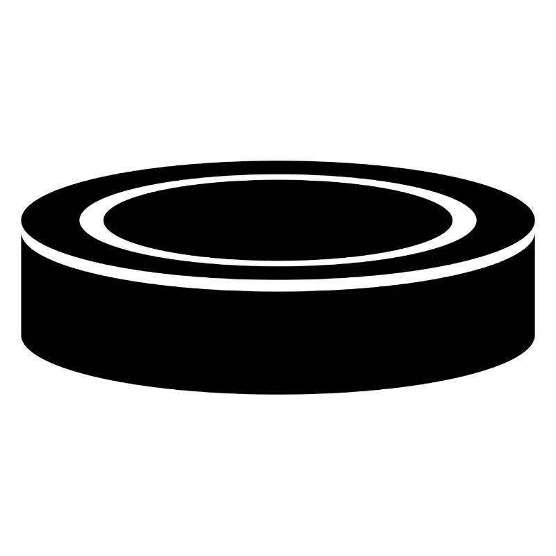 Palet de hockey