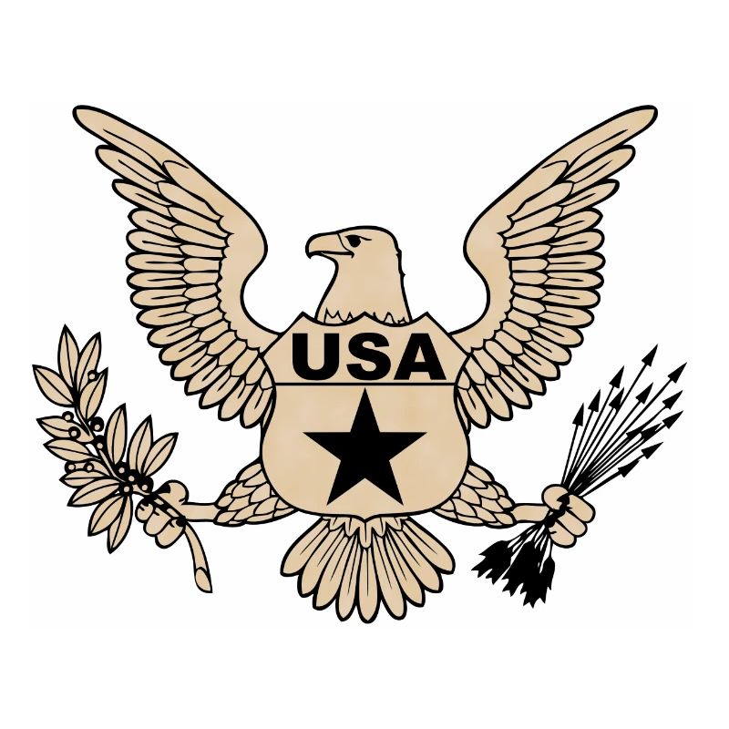 usa army 2