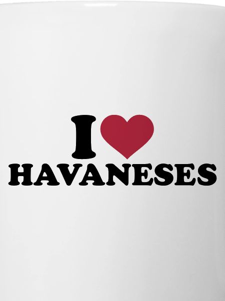 I love Havaneses