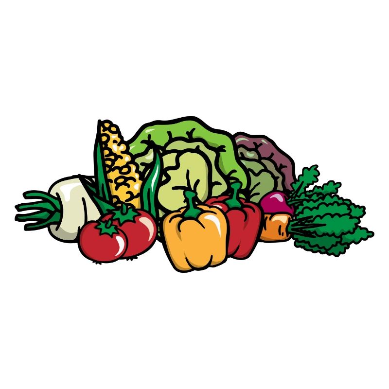 Colorful Vegetables - Mixed Vegetables - Vegetable Basket