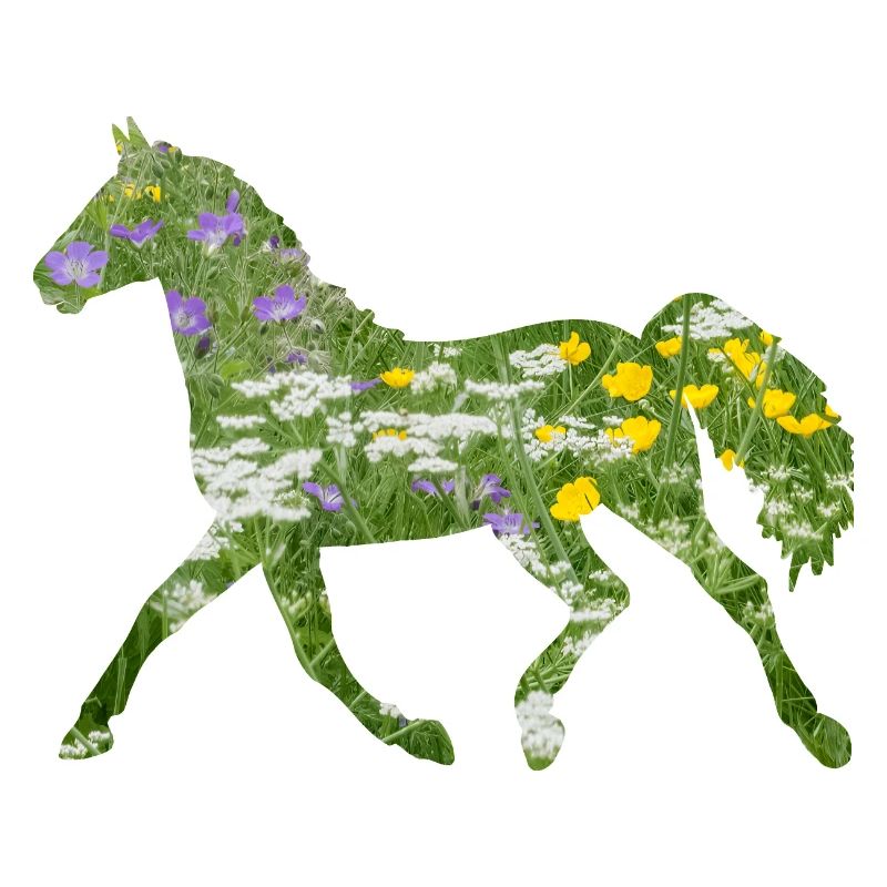 Pferd
