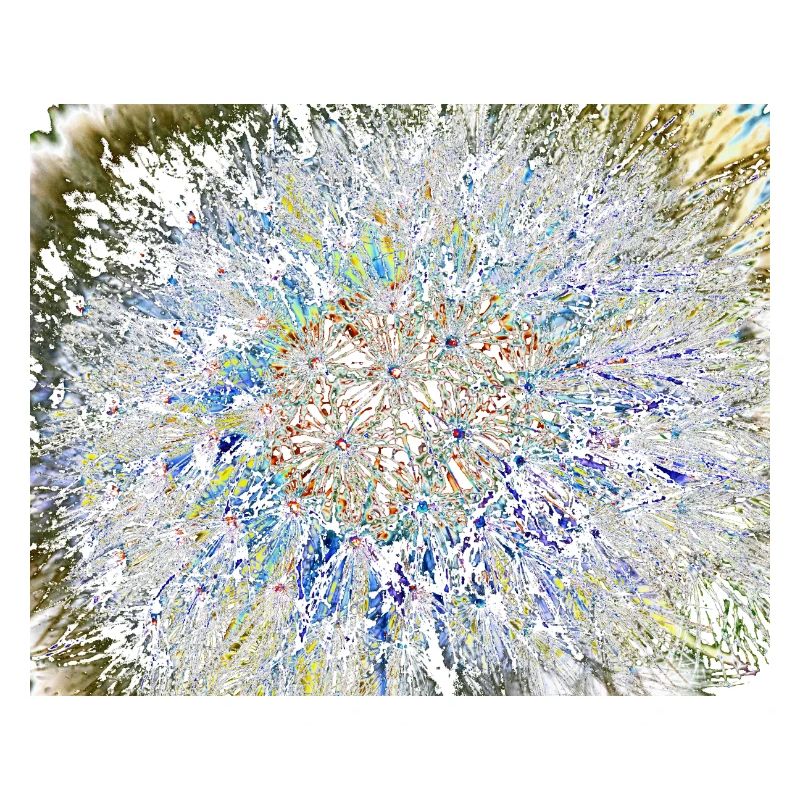 Pusteblume, A731878