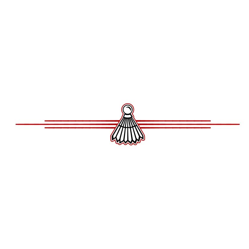 Ligne de badminton