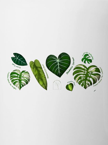 Botanical Strip