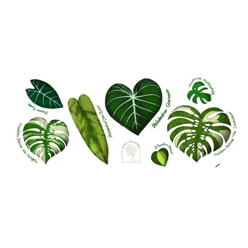Botanical Strip