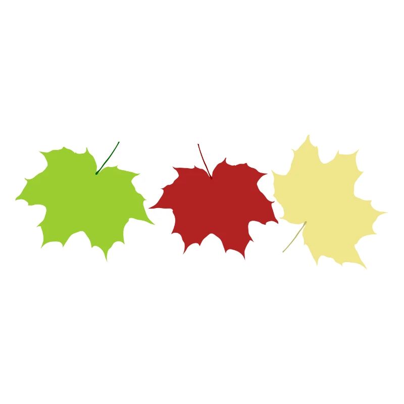 feuilles d’automne
