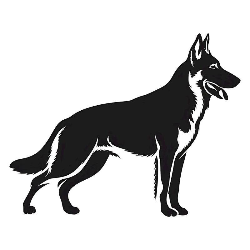 Belgian Malinois Shepherd Dog