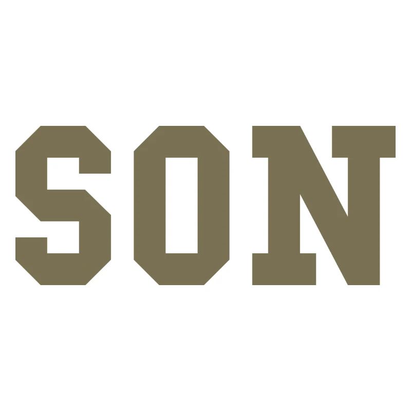 SON – Déclaration de style universitaire
