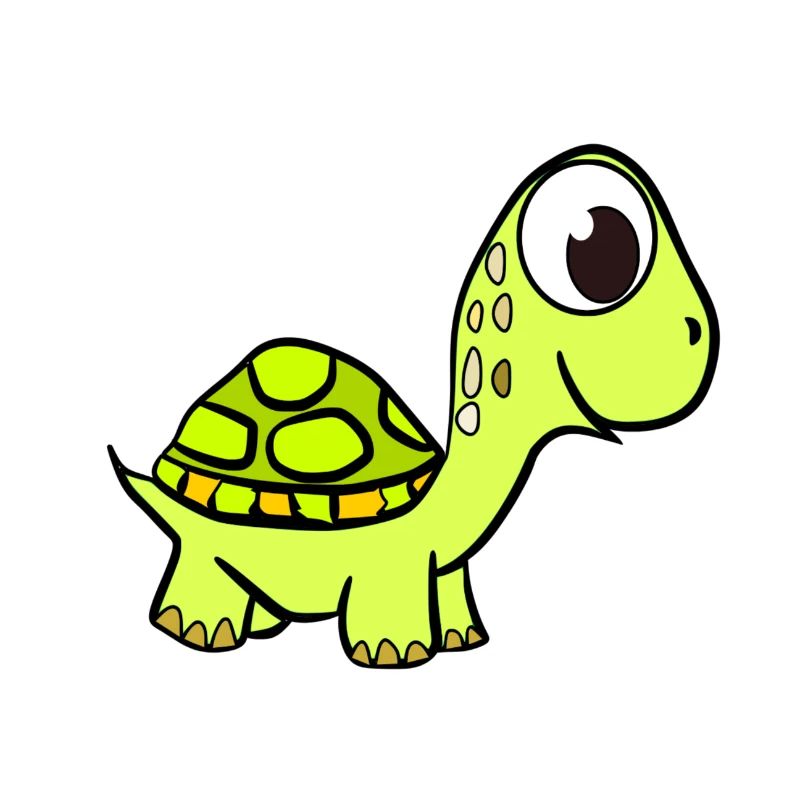 Sweet turtle turtles