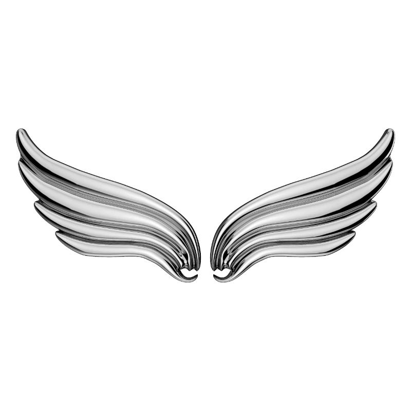 wings