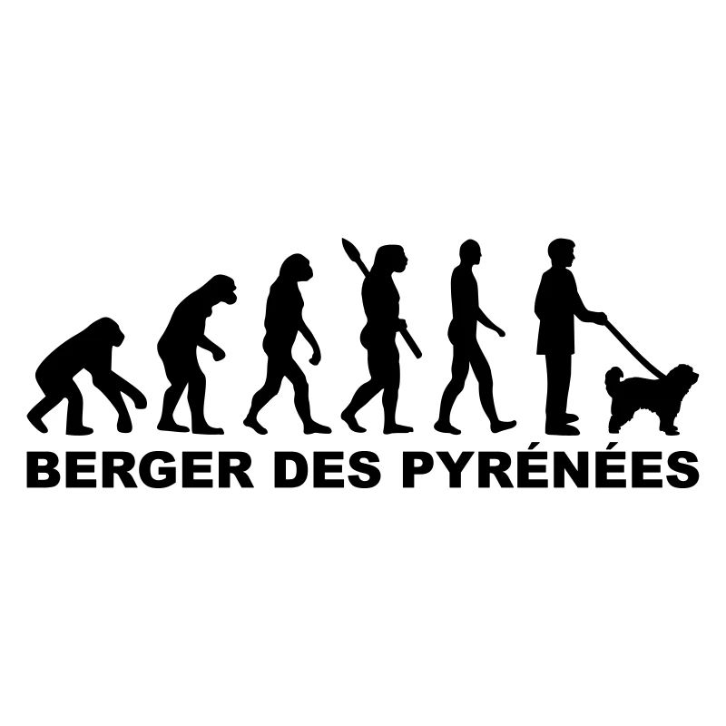 Berger des Pyrénées