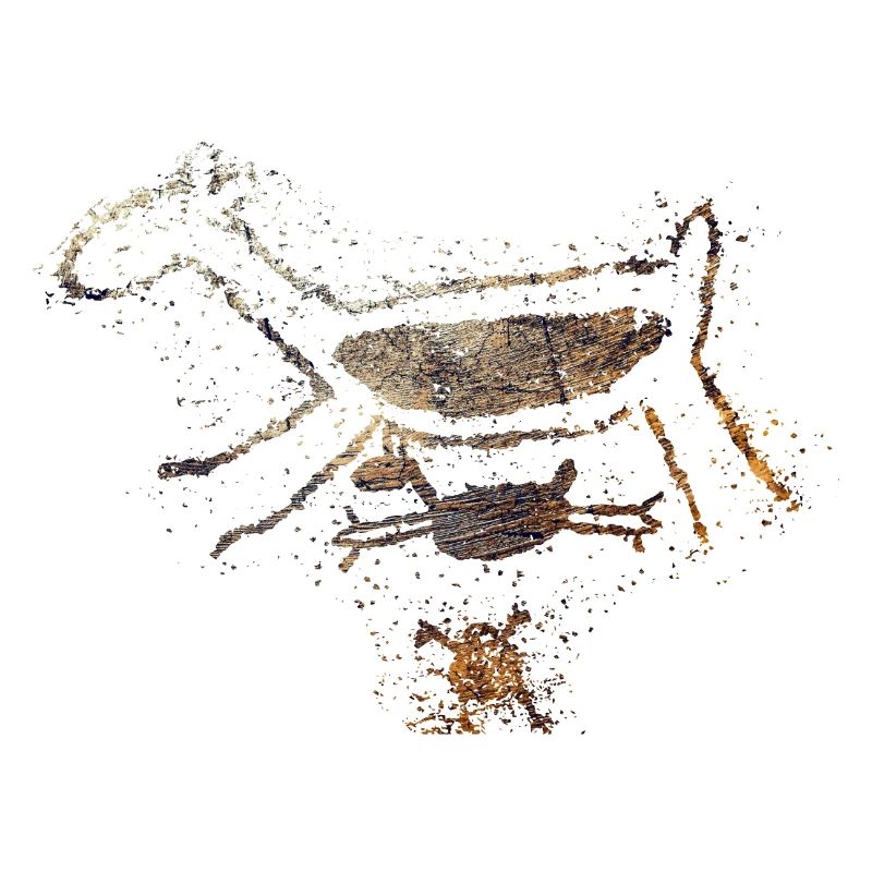 Rock Paintings