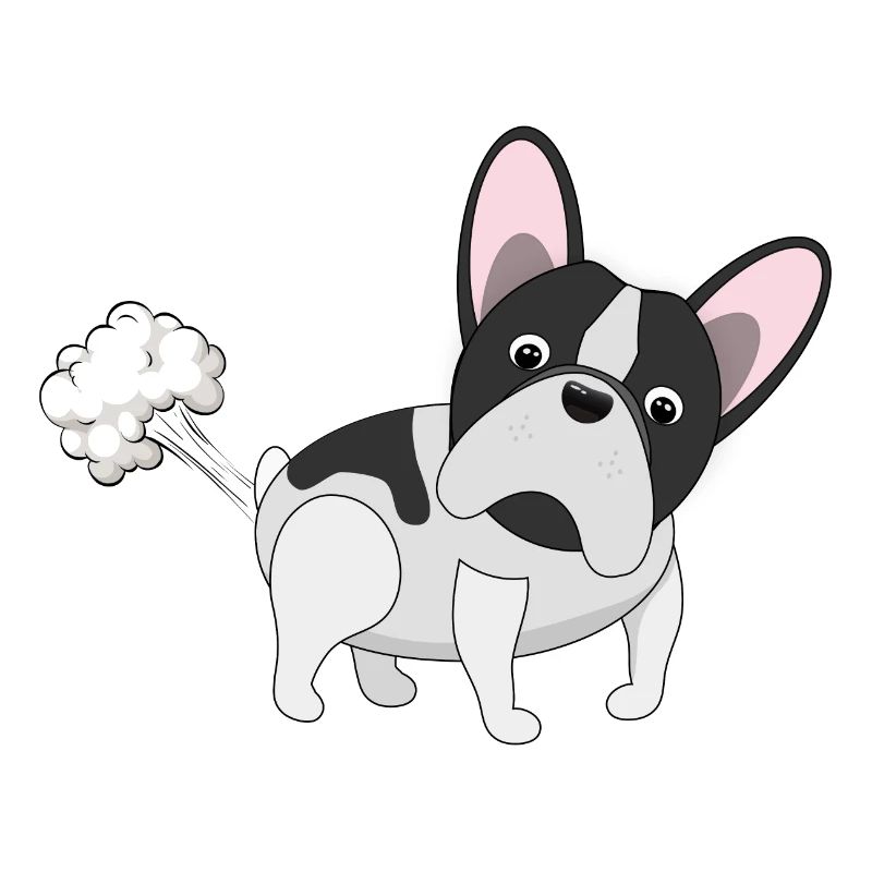 Bully pète - Bouledogue français