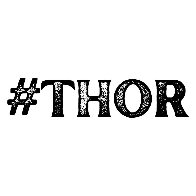 #THOR VIKING