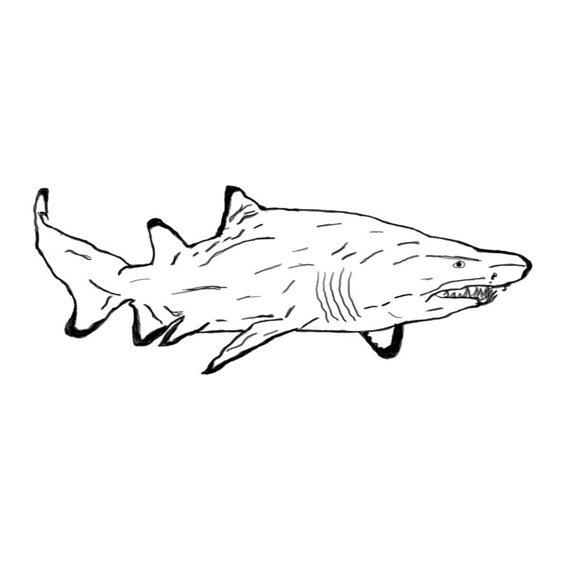 Requin en noir