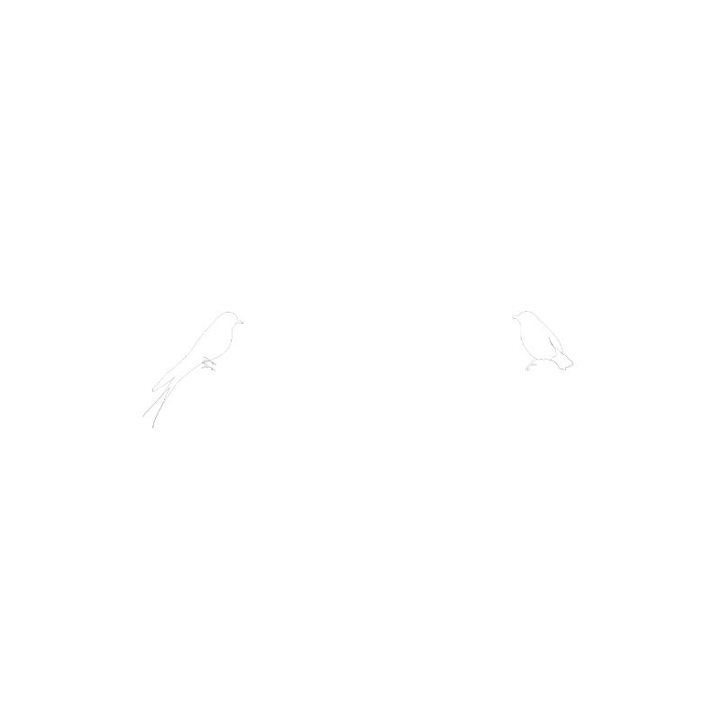 Birds on a Wire