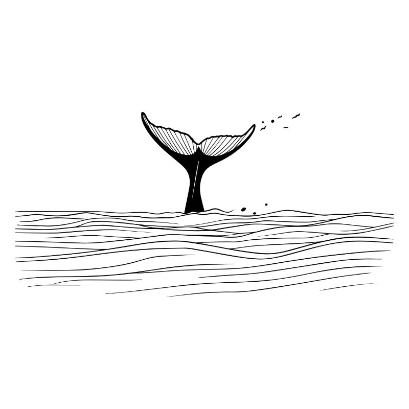 Queue de baleine - Noir