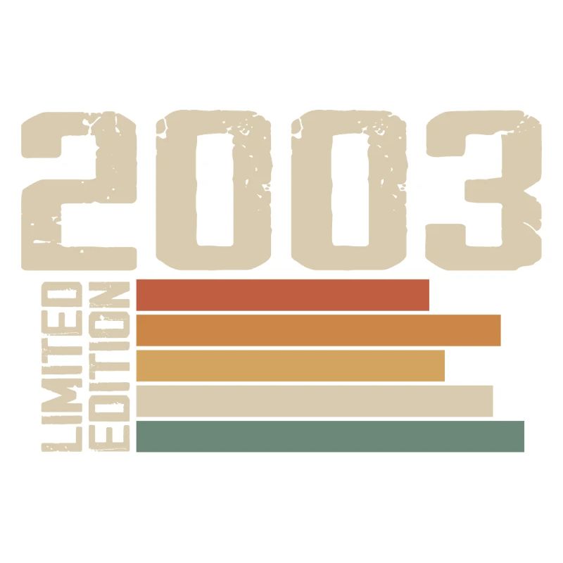 2003 Vintage - Retro 2003 Birthday Gift 2003
