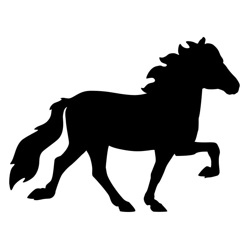 Islandpferd