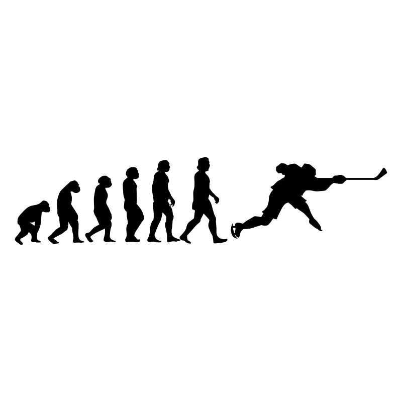 l'évolution du hockey