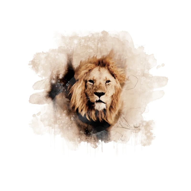 Éclaboussure de lion