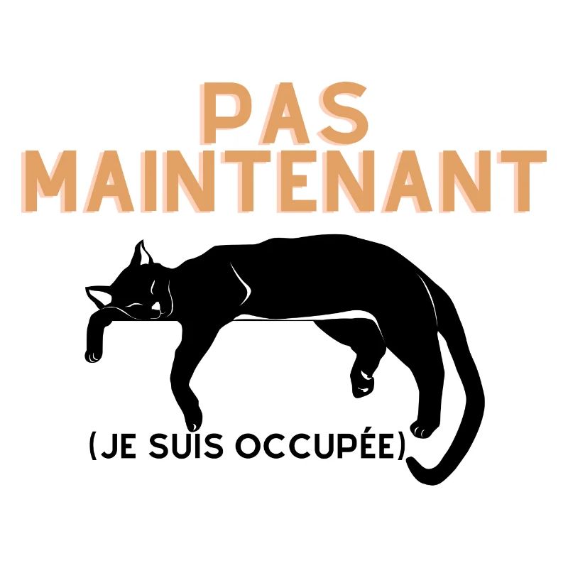 Pas Maintenant- Chat Endormi