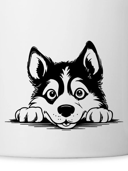 Husky sibérien