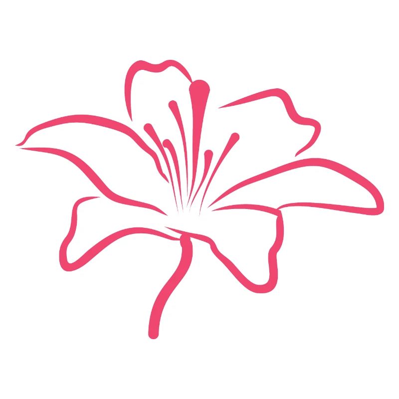 Bloomyvitae Blüte Rosa