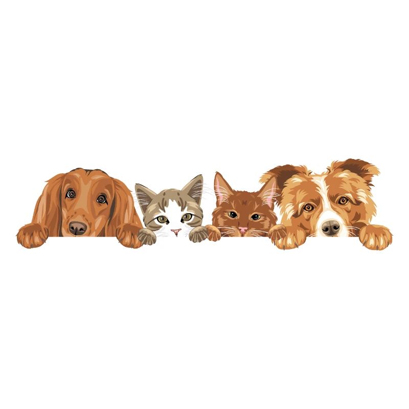 Jeter un coup d’œil à deux chats mignons et deux chiens