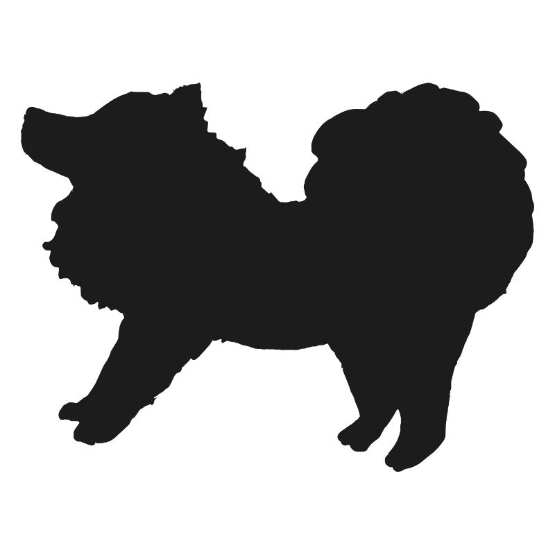 Spitz schwarz