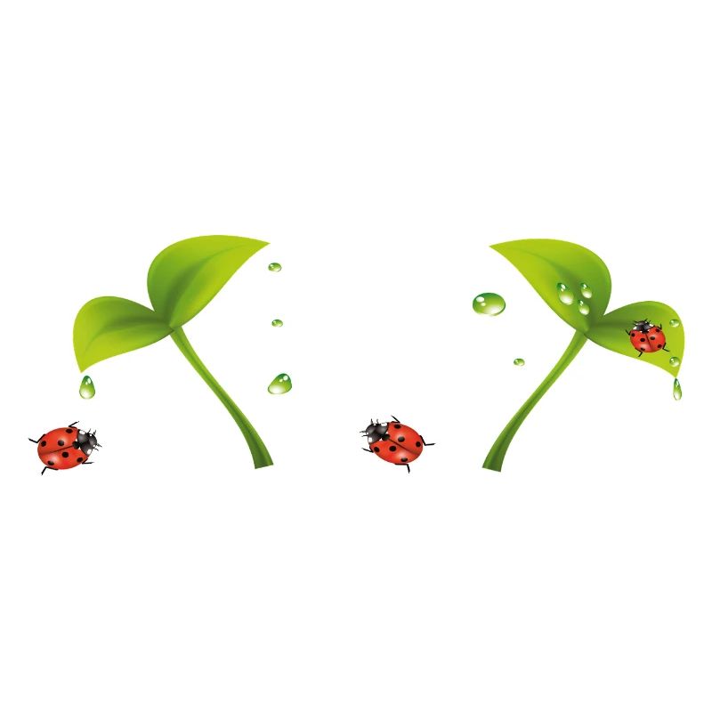 Coccinelle
