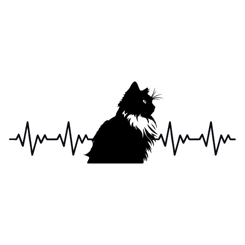 ECG du rythme cardiaque d'un chat Ragdoll