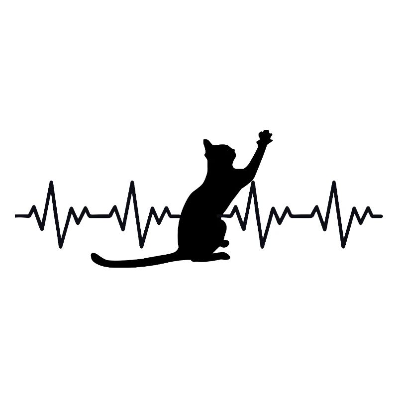 Katze EKG Herzfrequenz Herzschlag