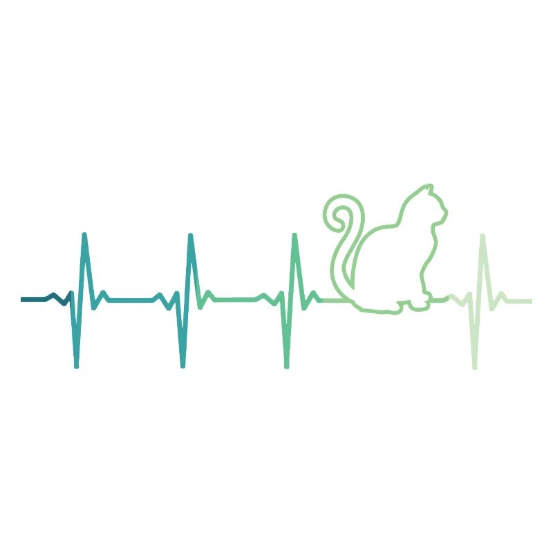chat battement de coeur chats