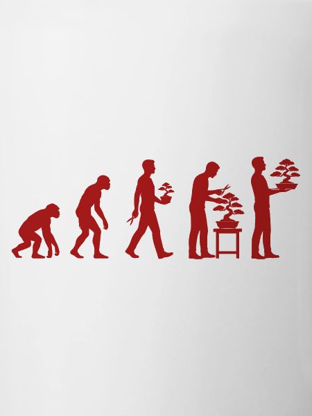 Japanese Bonsai Tree Plant Evolution Bonsai