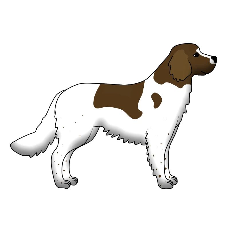 small Münsterländer