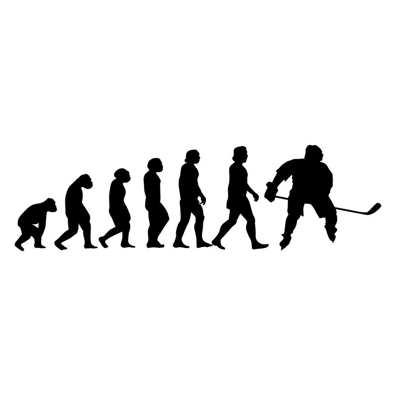 l'évolution du hockey