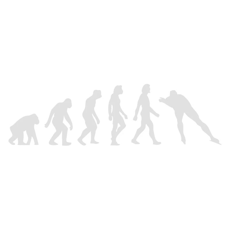 L'évolution du patinage