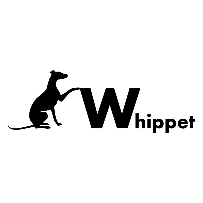 Whippet