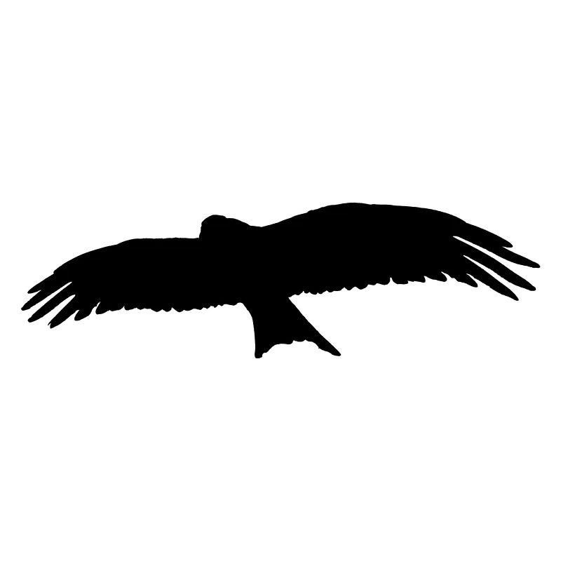 Oiseau