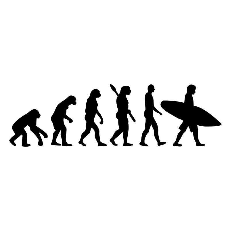 Evolution surfing