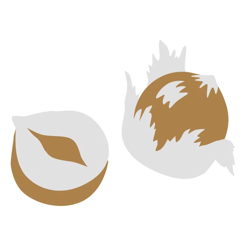 Écrou - Noix - Nuts - 2C