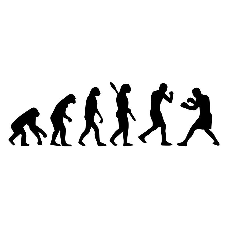 Evolution Boxing