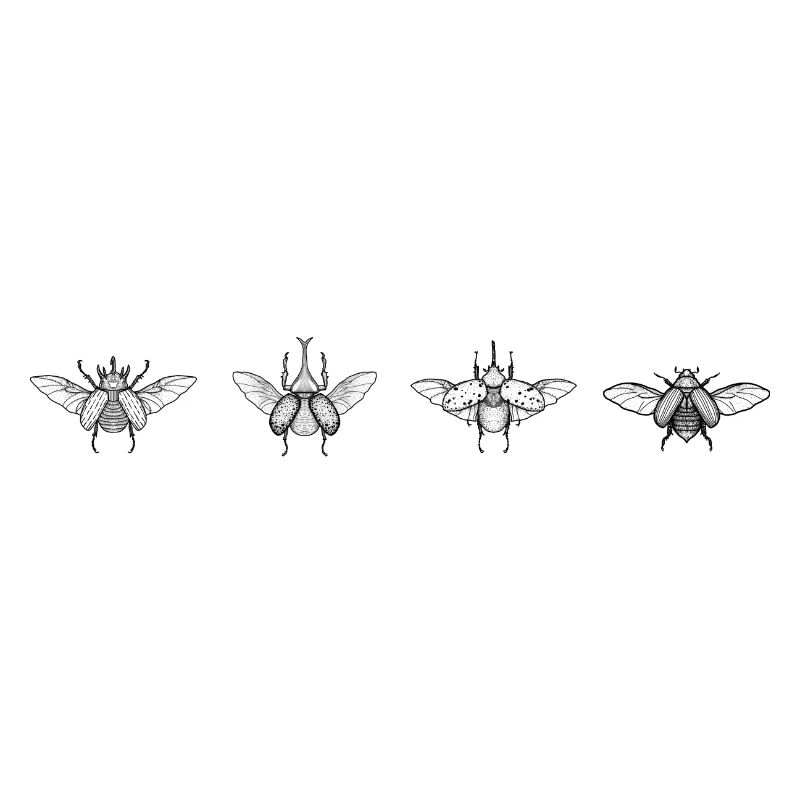 Beetles