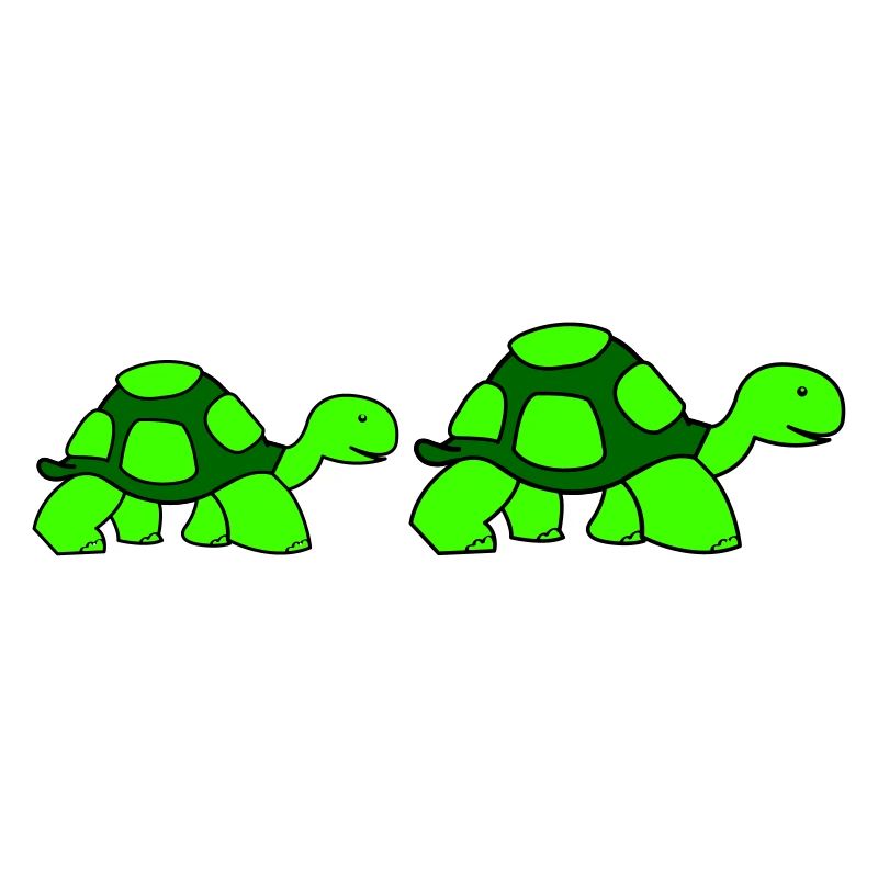 turtle family