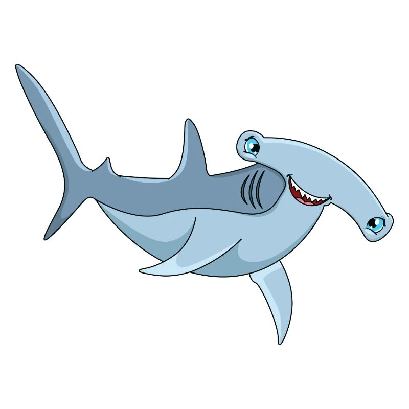 Requin marteau